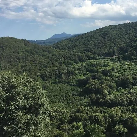 Hébergement de vacances Maison En Pierre - Proche De La *
