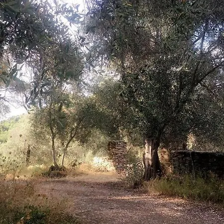 Maison En Pierre - Proche De La Holiday home *